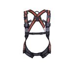 ARNÊS ANTIQUEDA  HAR22